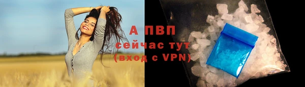 jwh Абаза