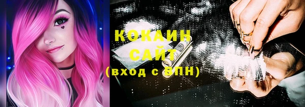 прущие грибы Елизово
