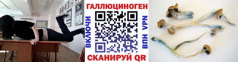 Псилоцибиновые грибы мицелий  Ростов-на-Дону 