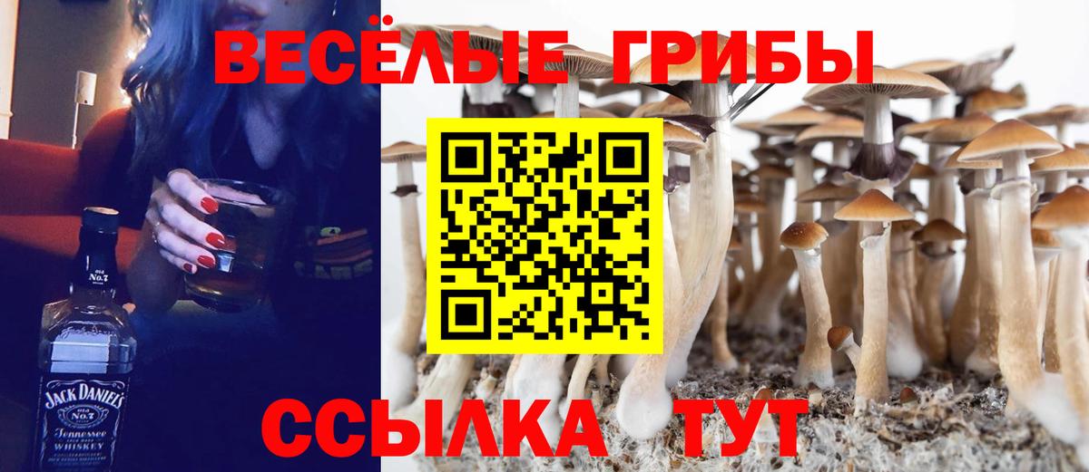 Псилоцибиновые грибы Cubensis Ростов-на-Дону
