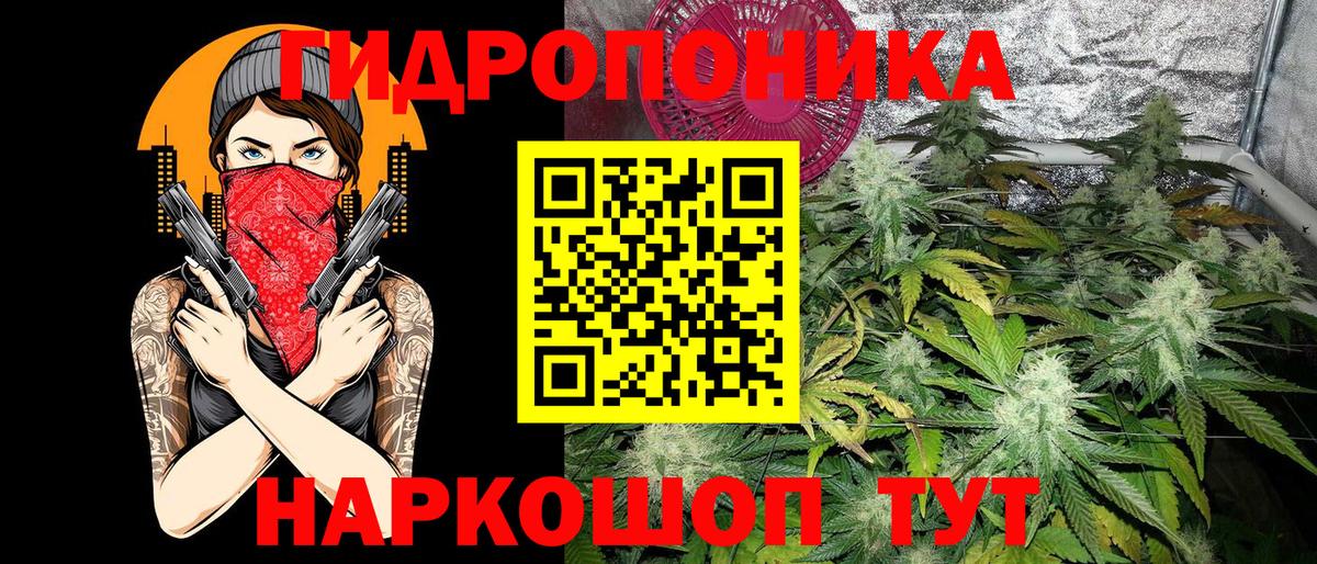 Шишки марихуана Ganja Ростов-на-Дону